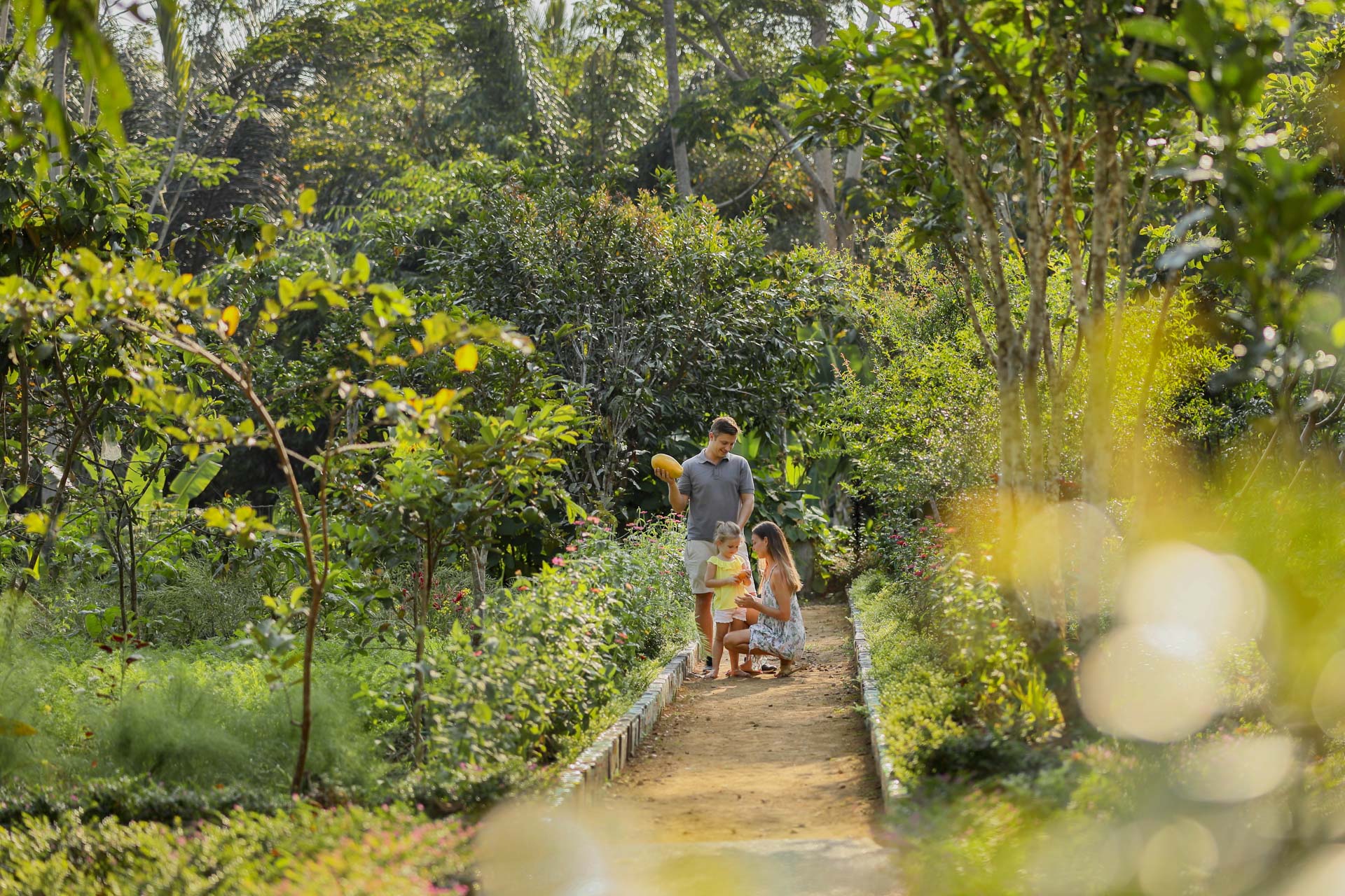 Agroforestry Tour Padma Resort Ubud